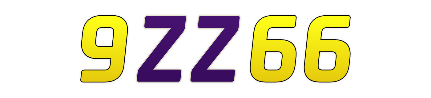 9zz66